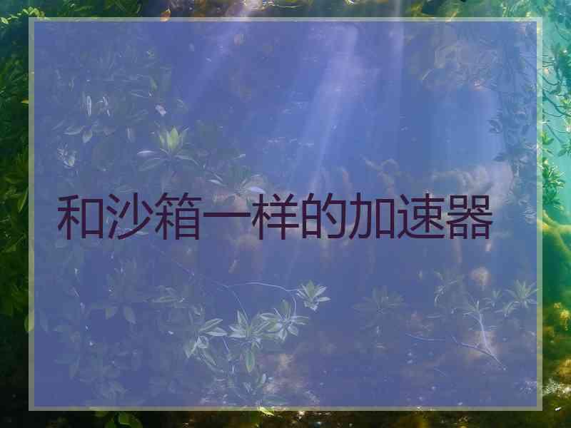 和沙箱一样的加速器