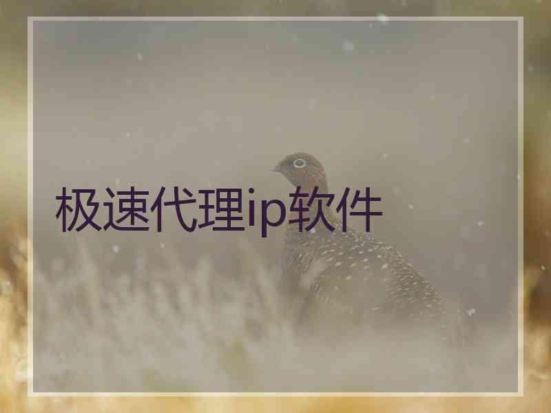 极速代理ip软件