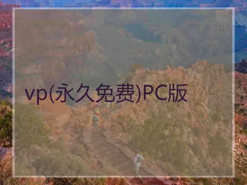 vp(永久免费)PC版