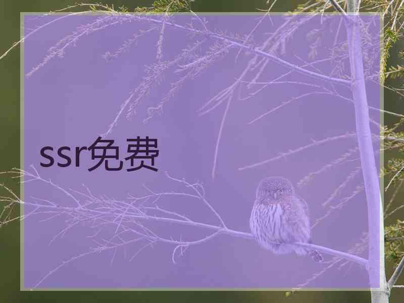 ssr免费
