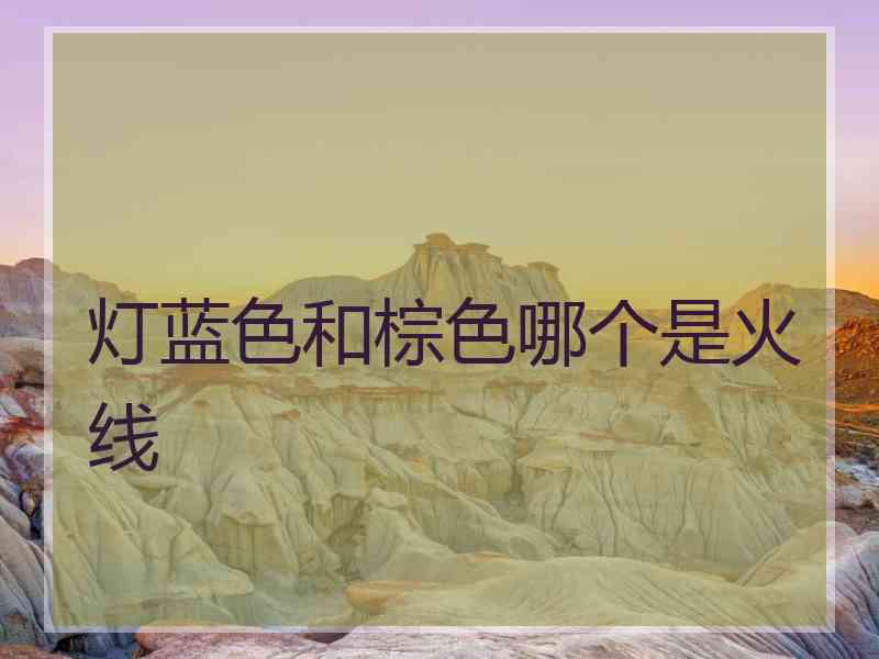 灯蓝色和棕色哪个是火线