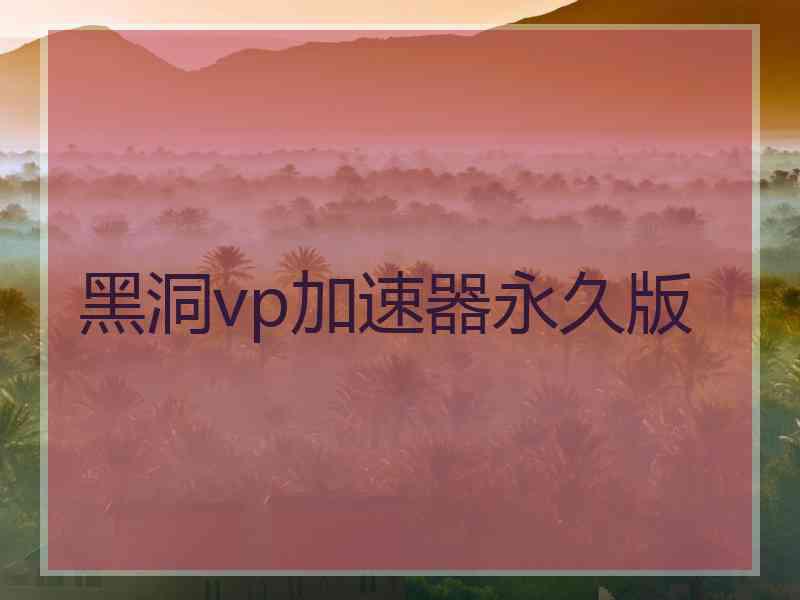 黑洞vp加速器永久版