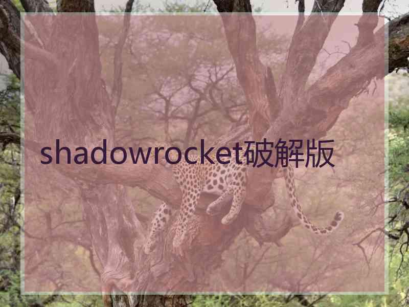 shadowrocket破解版