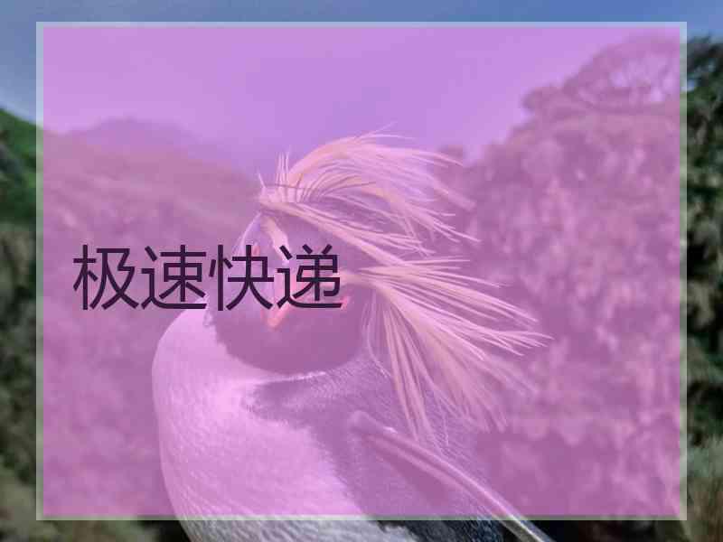 极速快递