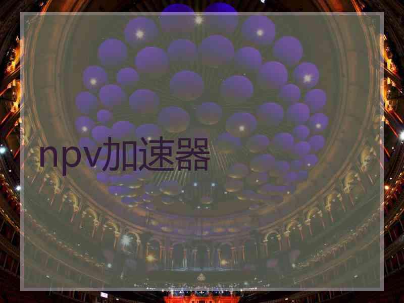 npv加速器