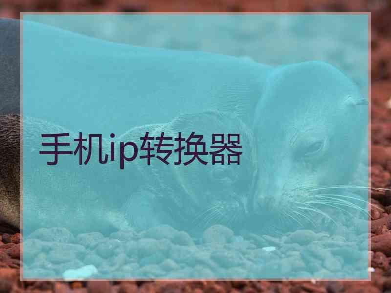 手机ip转换器