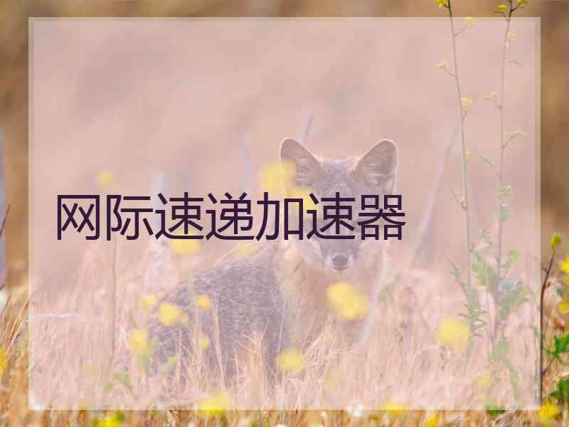 网际速递加速器