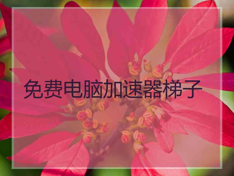 免费电脑加速器梯子