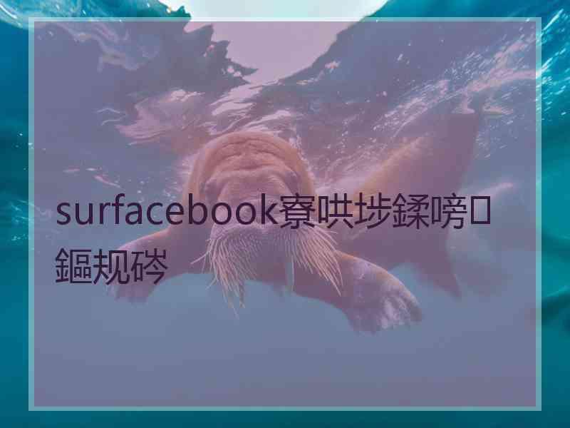 surfacebook寮哄埗鍒嗙鏂规硶