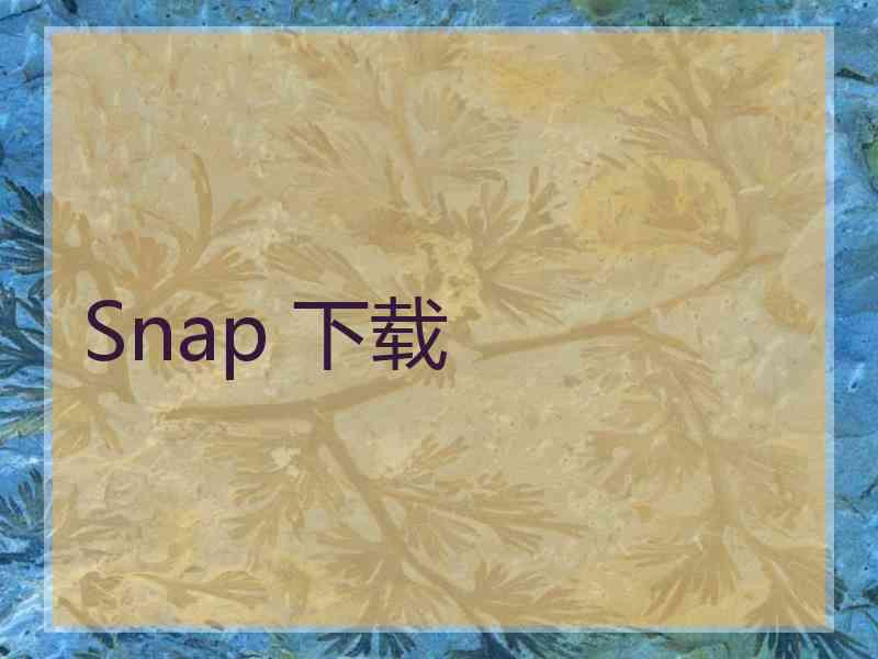 Snap 下载