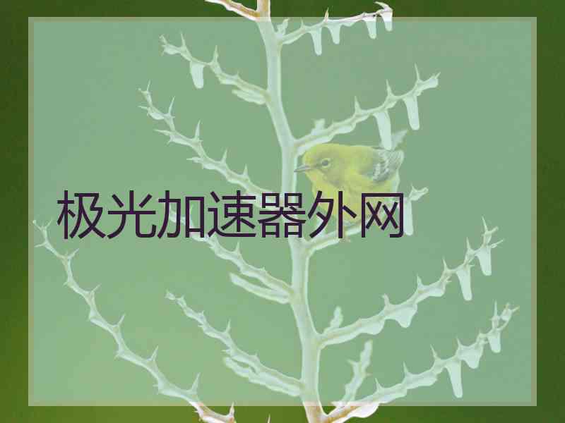 极光加速器外网