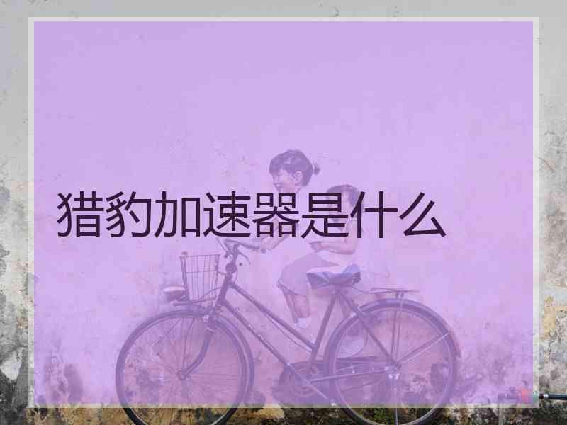 猎豹加速器是什么