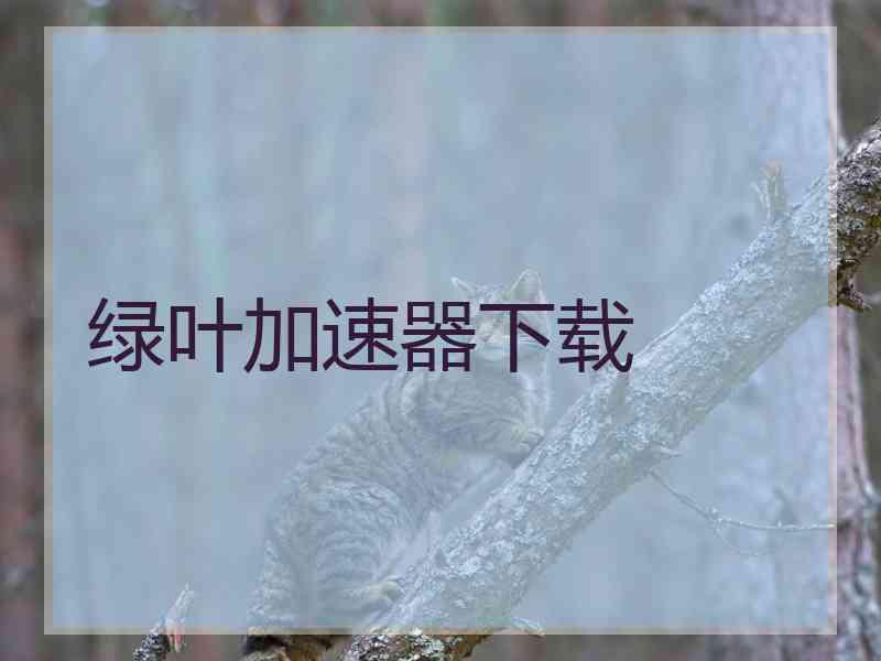 绿叶加速器下载