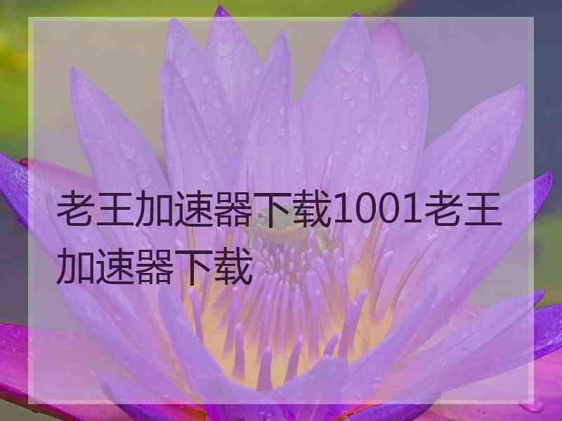 老王加速器下载1001老王加速器下载