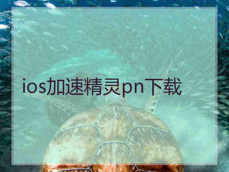 ios加速精灵pn下载