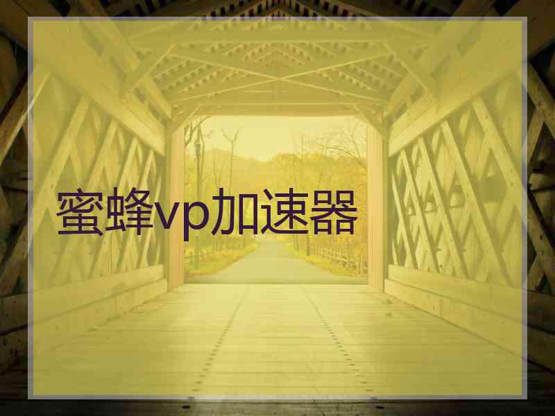 蜜蜂vp加速器