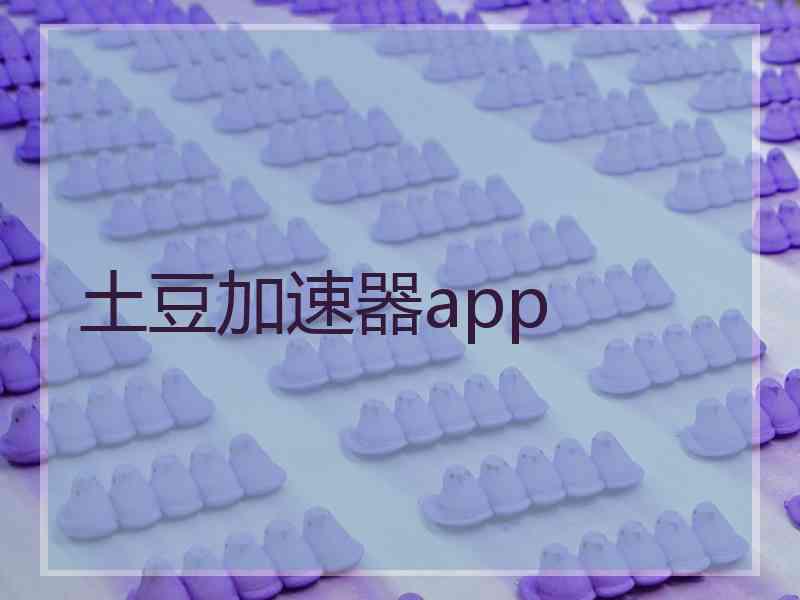 土豆加速器app