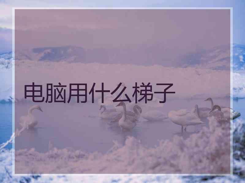 电脑用什么梯子