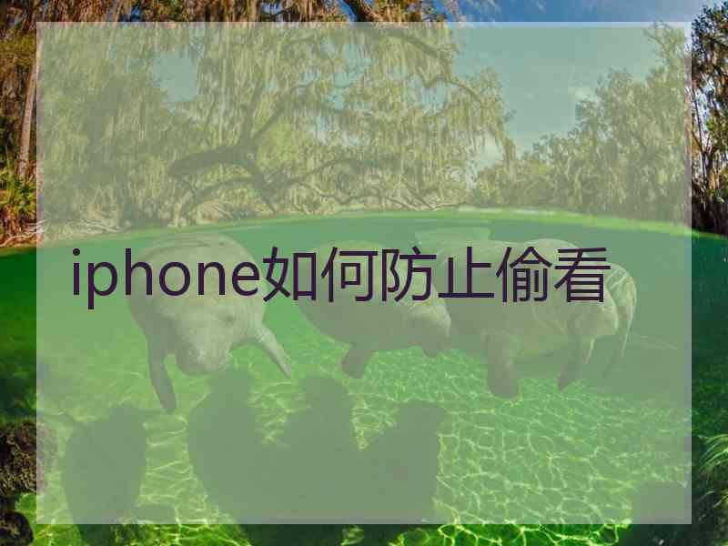 iphone如何防止偷看