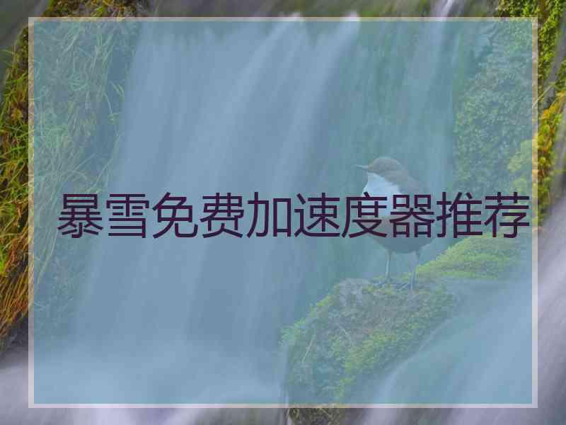 暴雪免费加速度器推荐