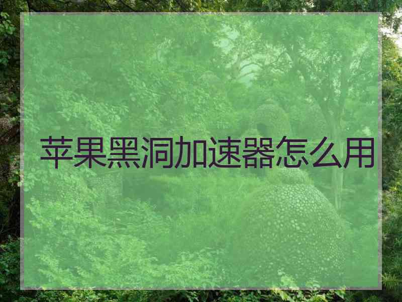 苹果黑洞加速器怎么用
