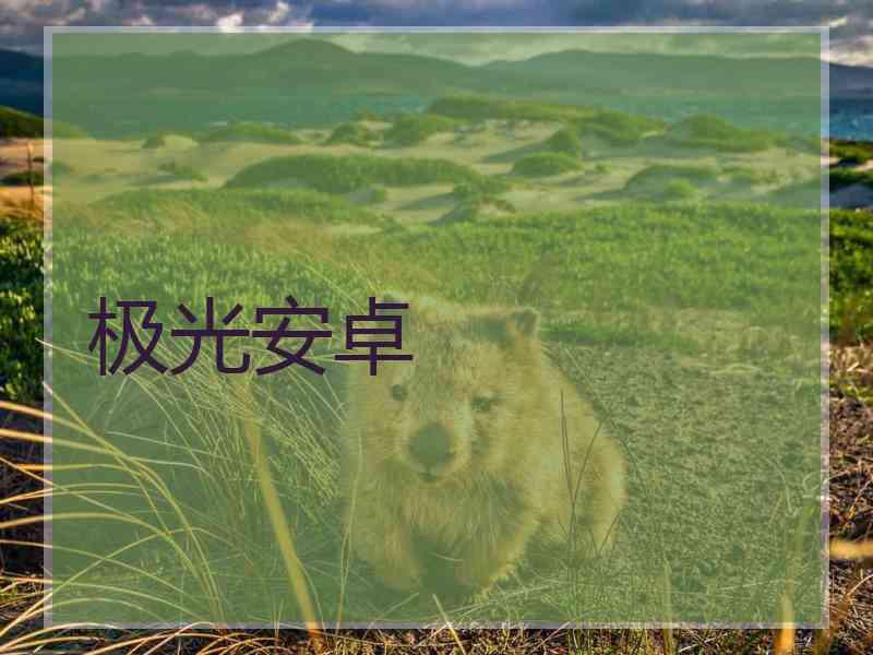 极光安卓
