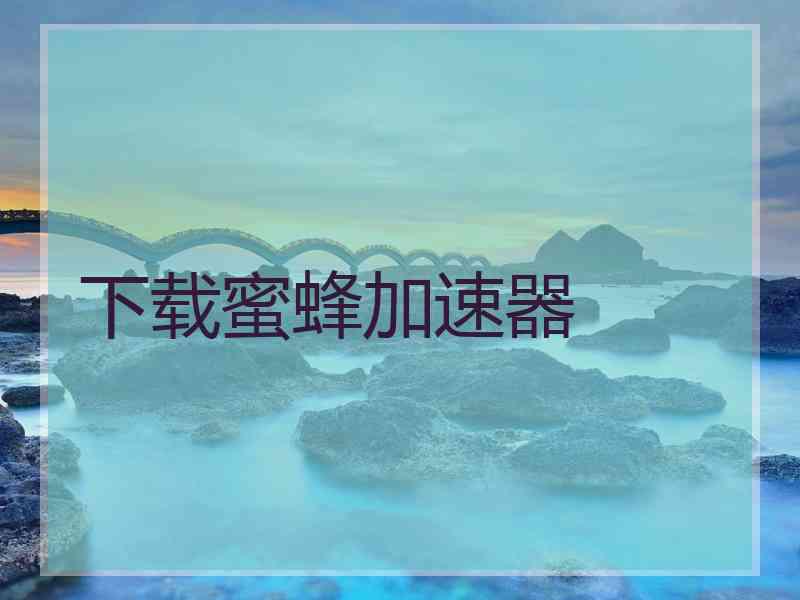 下载蜜蜂加速器