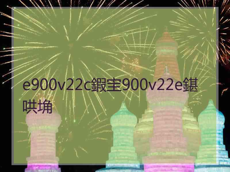 e900v22c鍜宔900v22e鍖哄埆