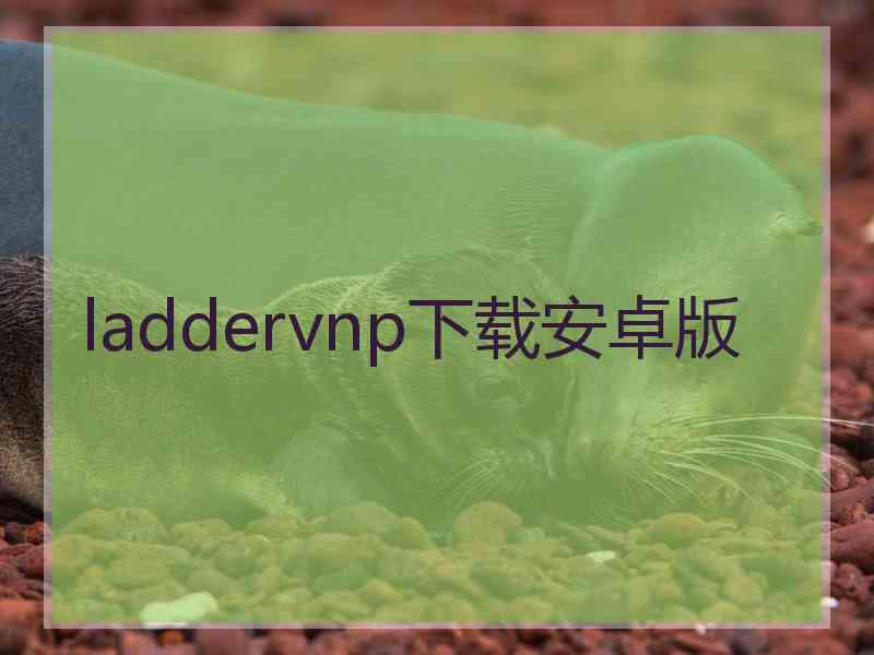 laddervnp下载安卓版