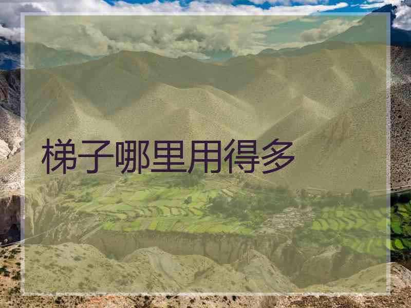 梯子哪里用得多