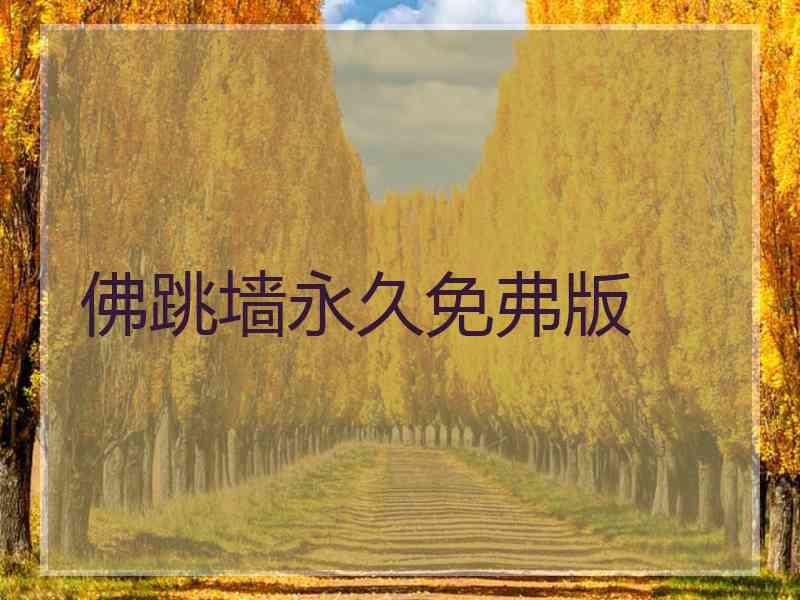 佛跳墙永久免弗版