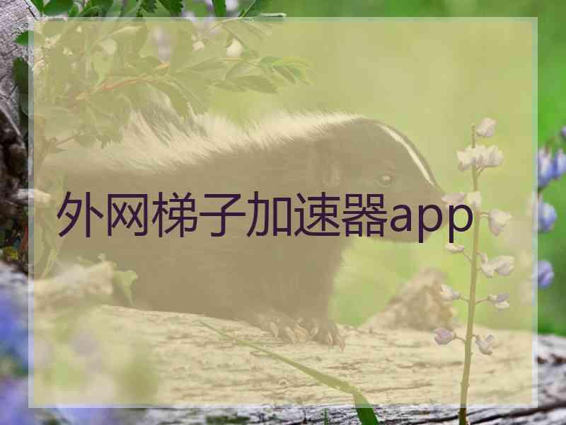 外网梯子加速器app