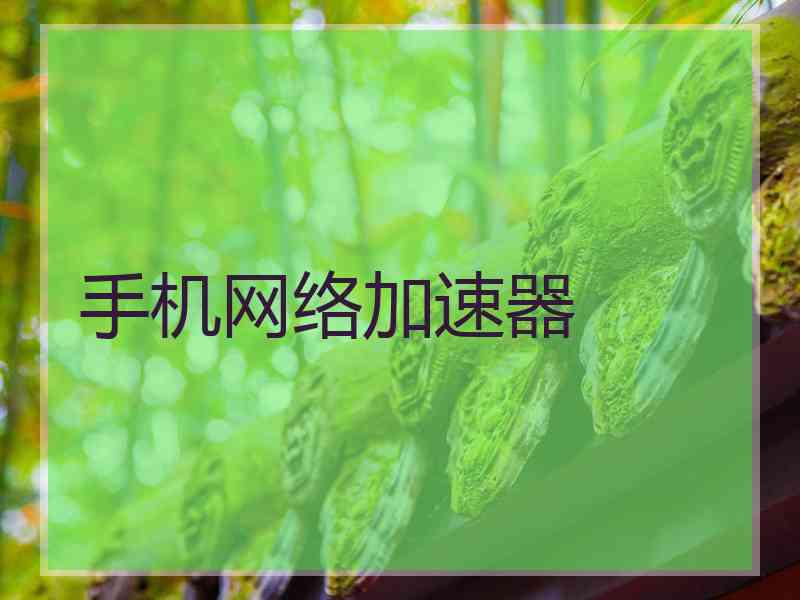 手机网络加速器