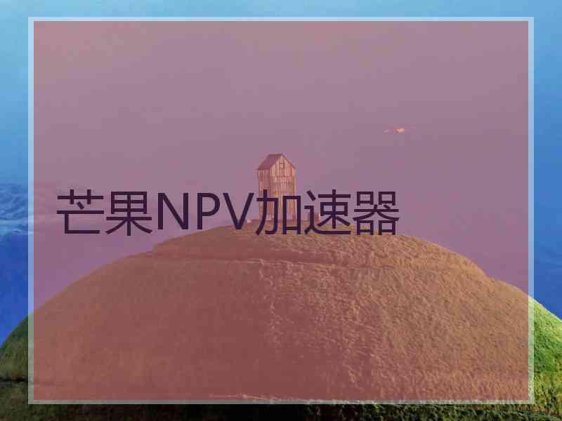 芒果NPV加速器