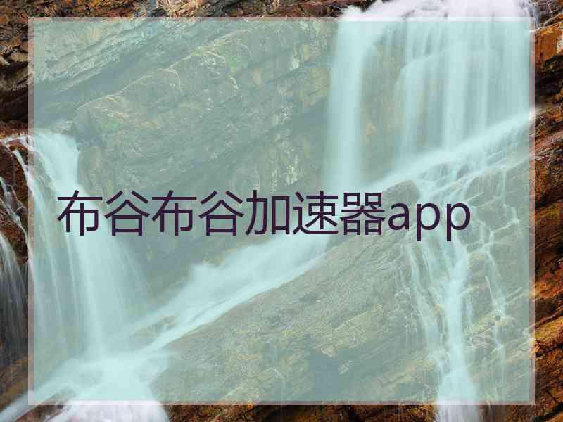 布谷布谷加速器app