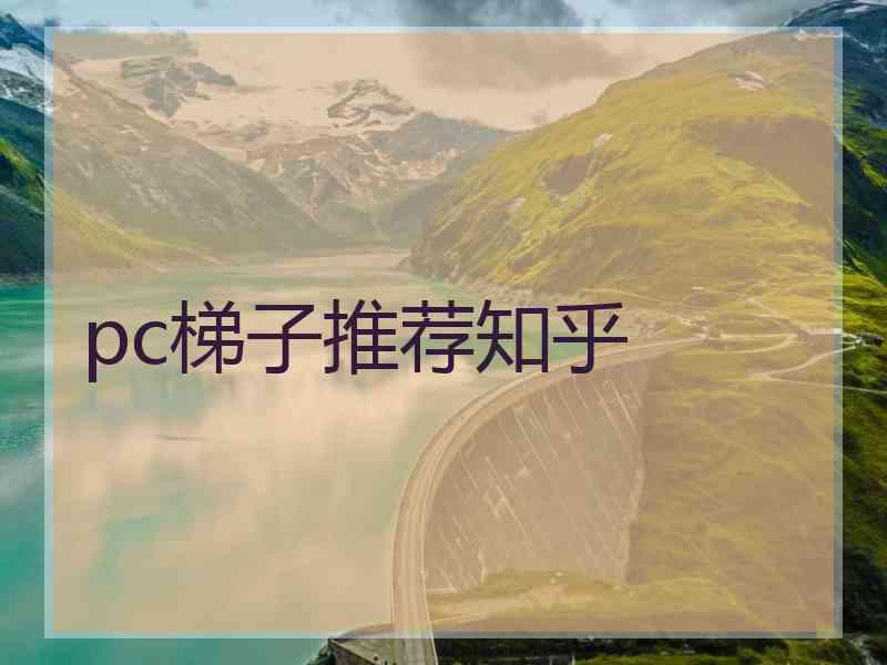 pc梯子推荐知乎