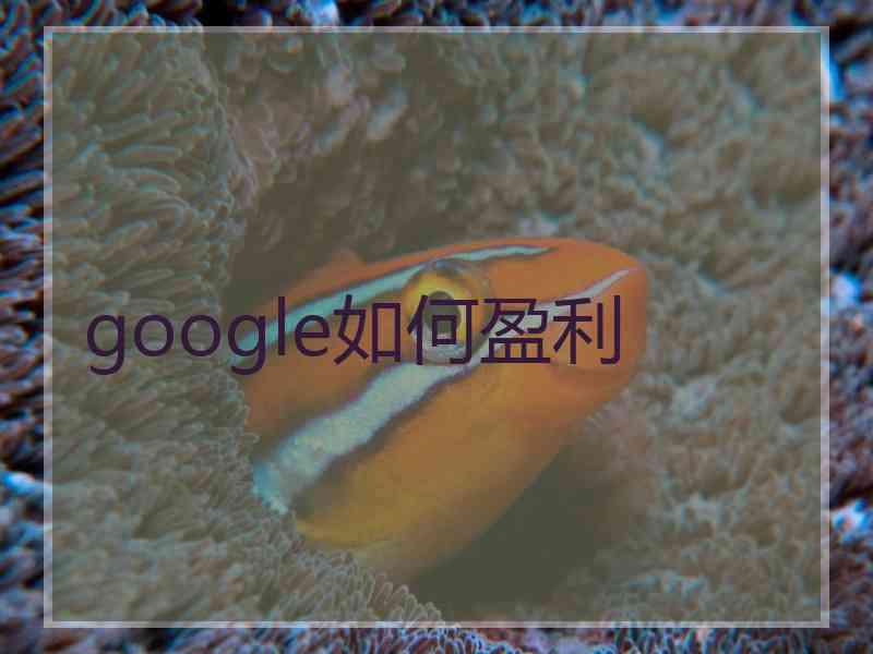 google如何盈利