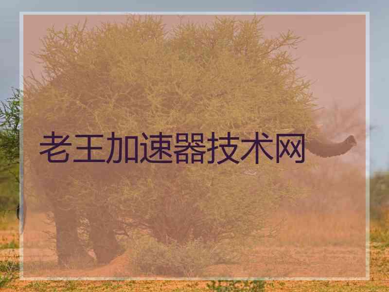 老王加速器技术网