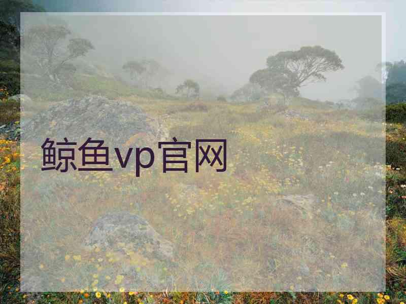 鲸鱼vp官网