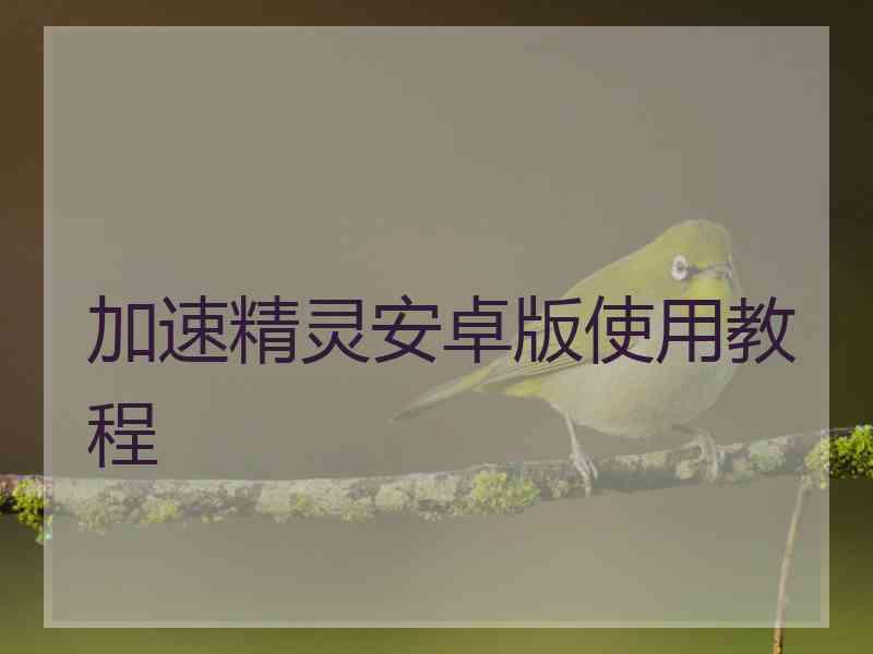 加速精灵安卓版使用教程