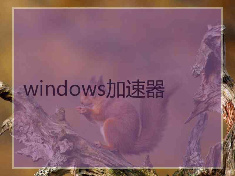 windows加速器