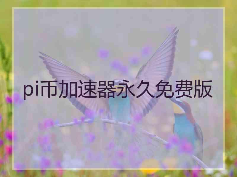 pi币加速器永久免费版