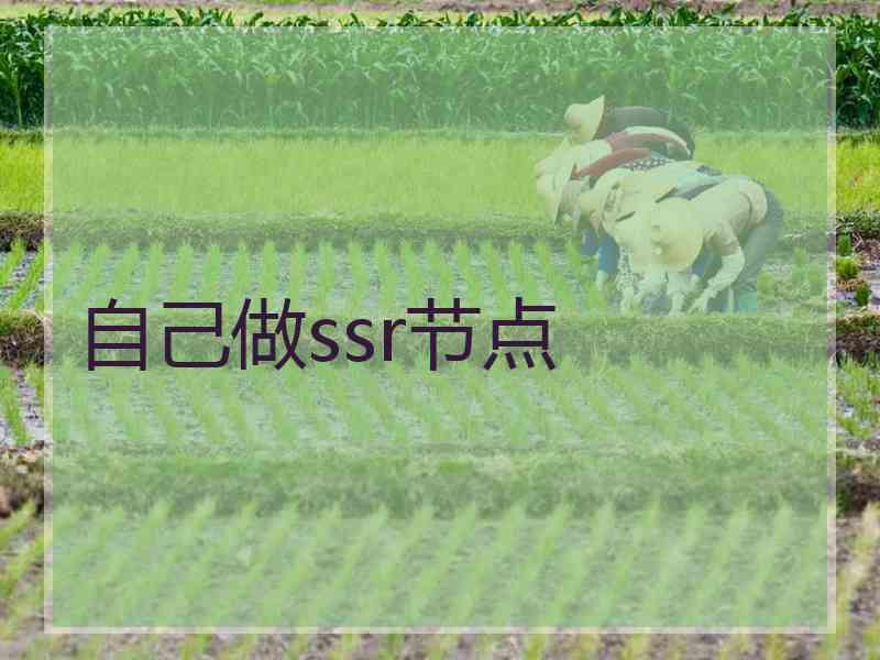 自己做ssr节点