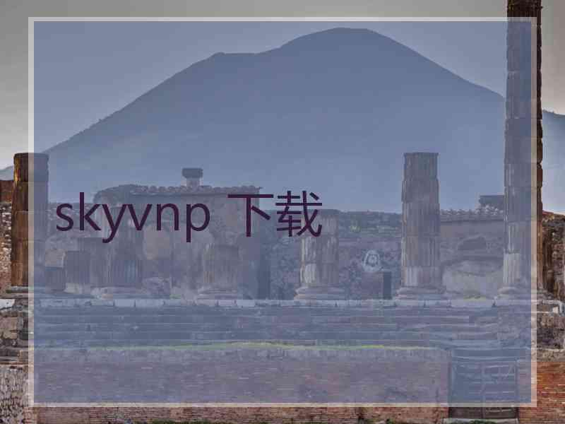 skyvnp 下载