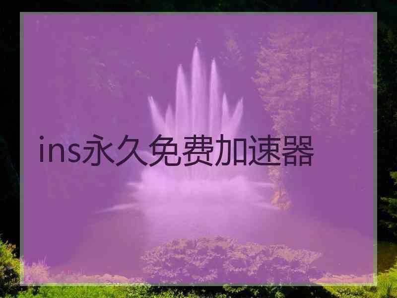 ins永久免费加速器