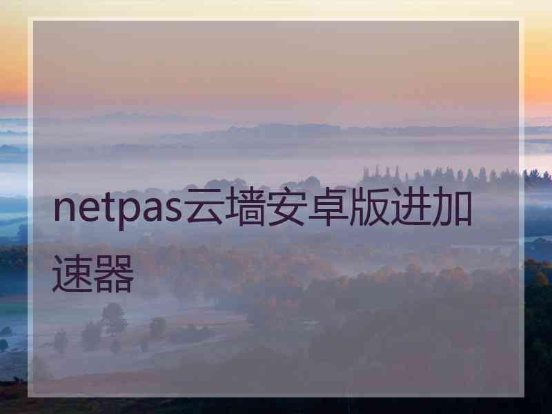 netpas云墙安卓版进加速器