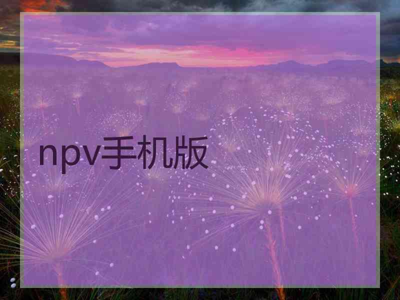 npv手机版