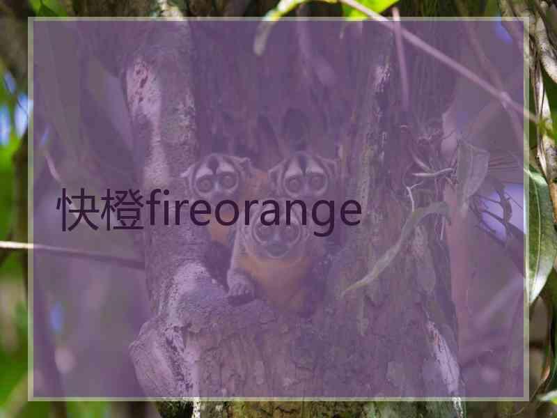 快橙fireorange