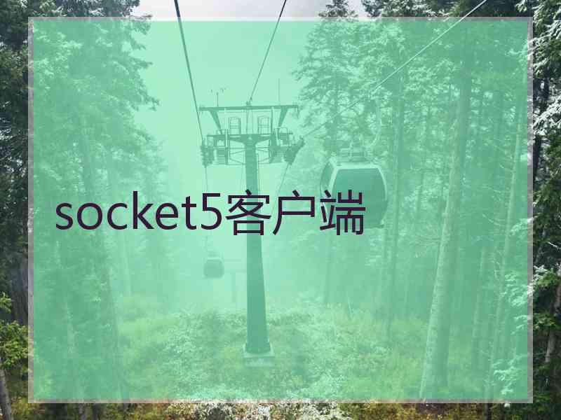 socket5客户端