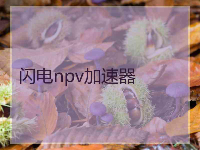 闪电npv加速器